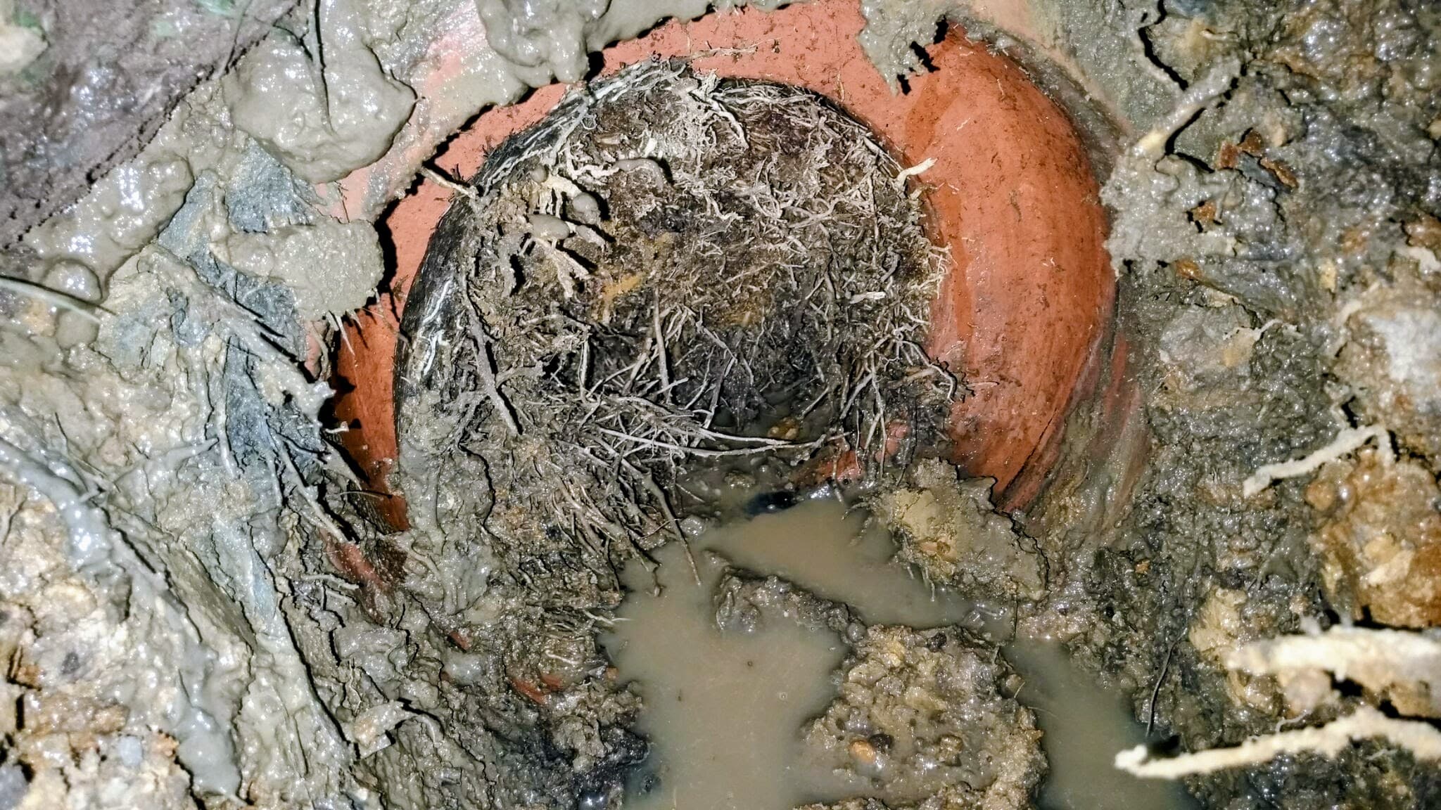 Drainage Solutions work by Ross Barber Plumbing